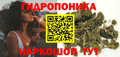 герыч Бердск