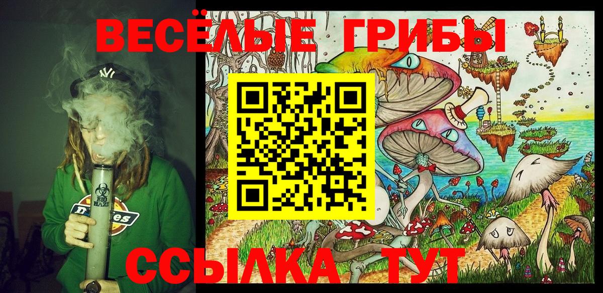 Алейск  Галлюциногенные грибы Psilocybe  Вход с VPN 